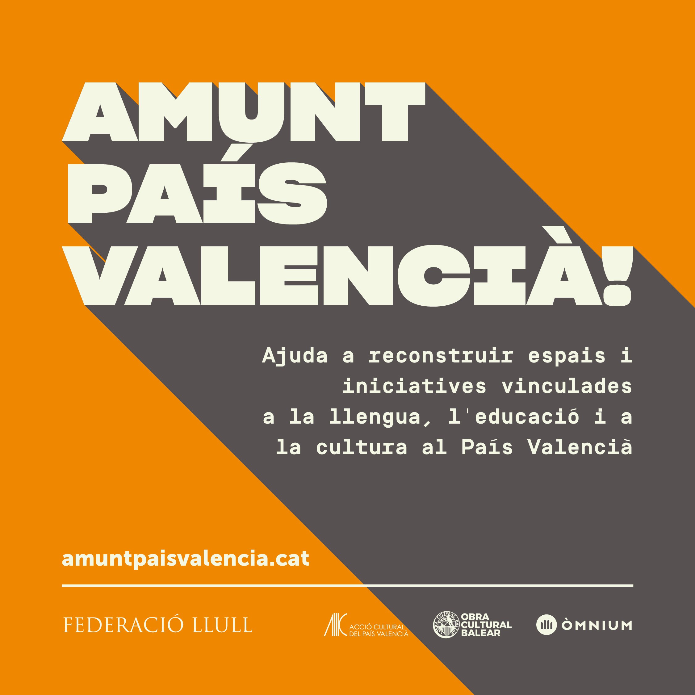 La campanya Amunt País Valencià! de la Federació Llull recull 150.000 euros per a vuit iniciatives per la llengua, l’educació i la cultura