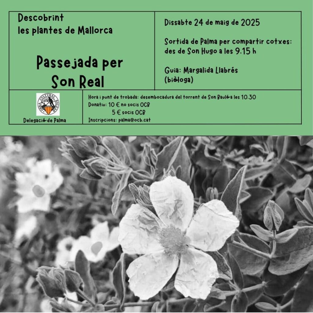 Descobrint les planes de Mallorca – Passejada pel camí dels Horts de Caimari