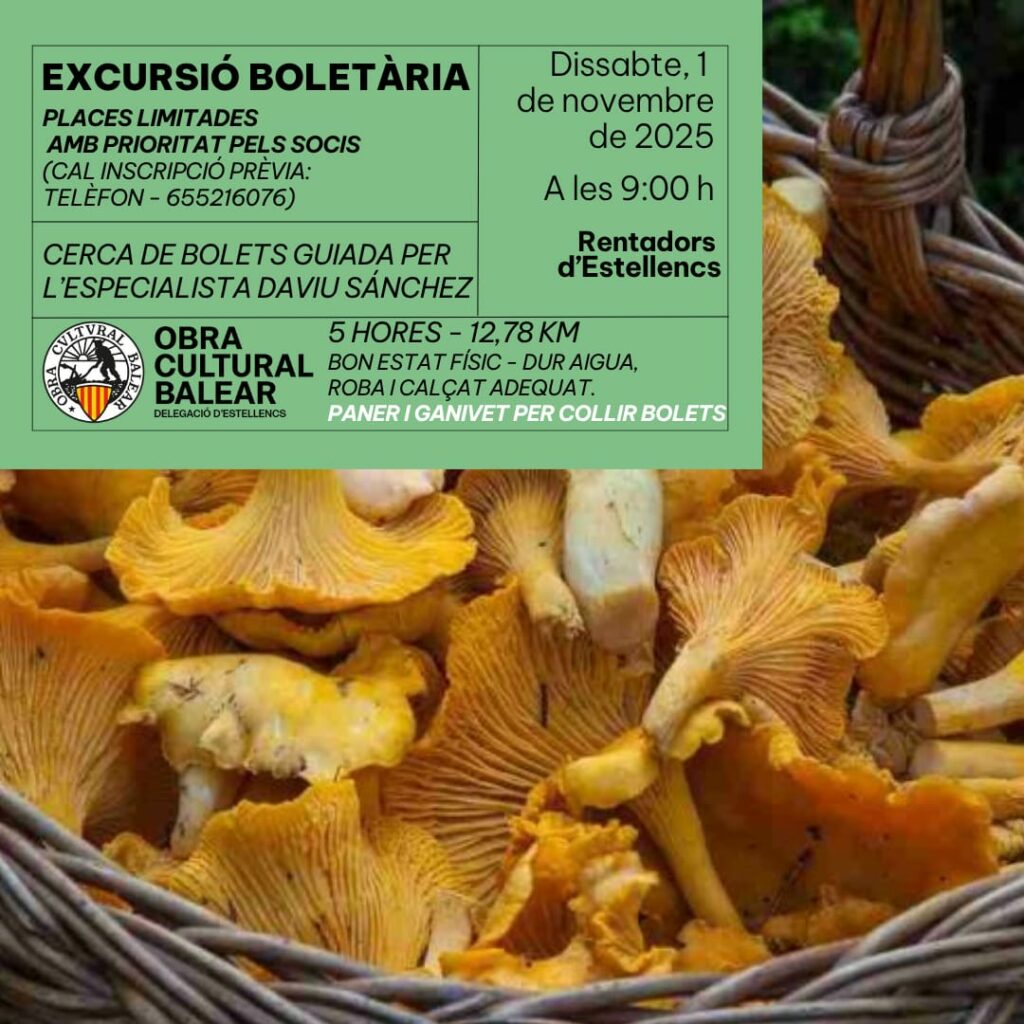 Excursió Boletària