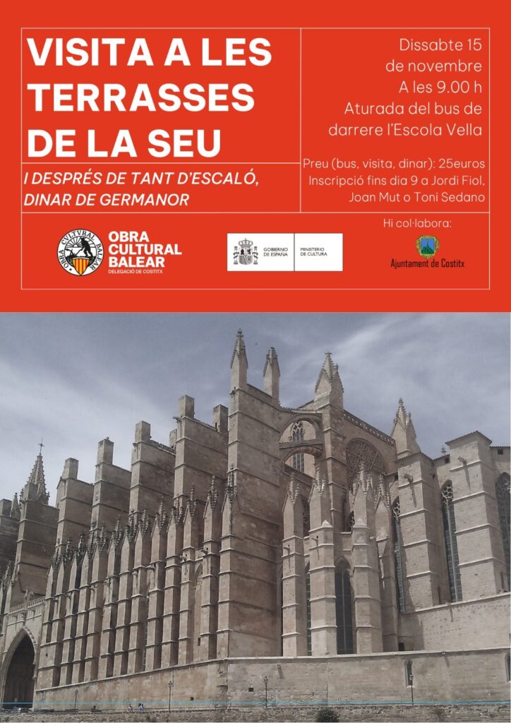 Visita a les terrasses de la Seu