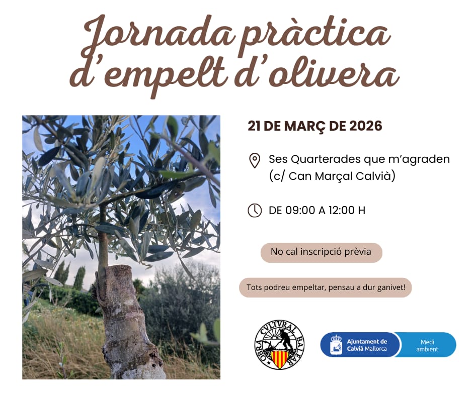 Jornada pràctica d’empelt d’olivera