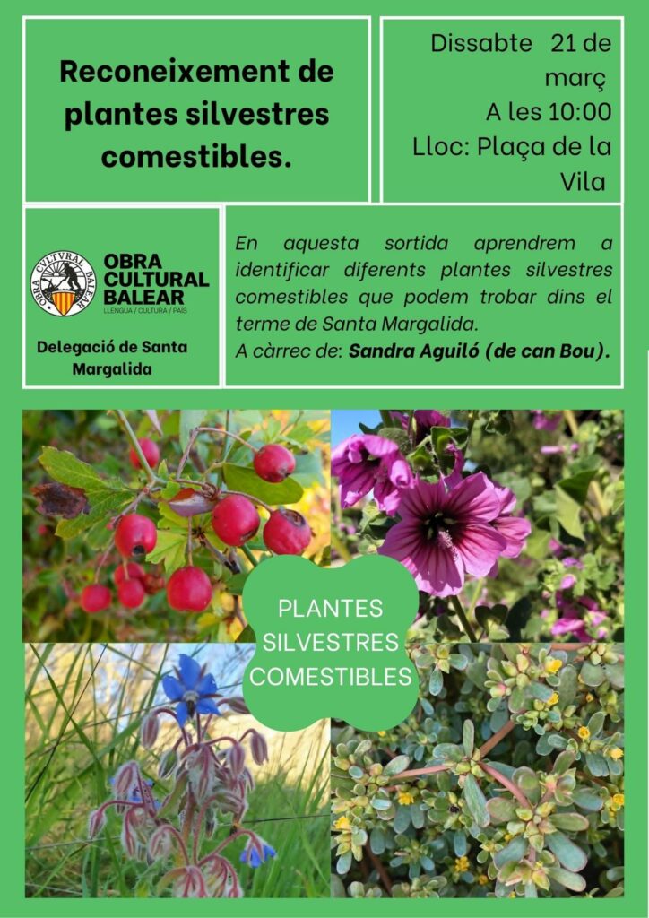Sortida “Plantes silvestres comestibles”