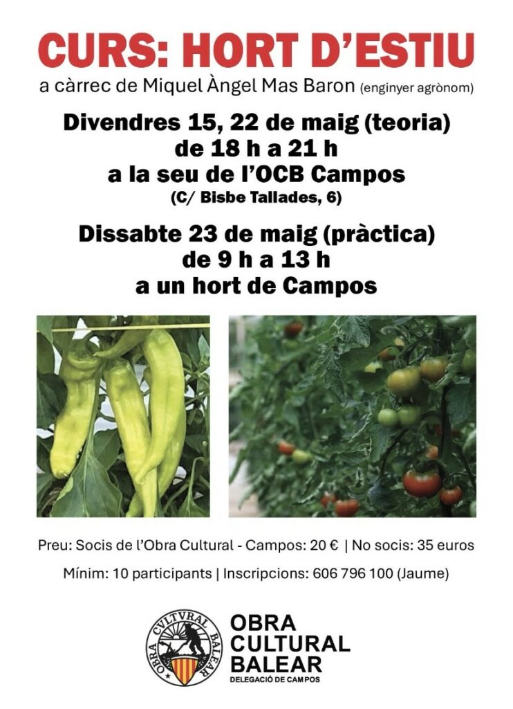 Curs d’Hort d’Estiu – Teoria