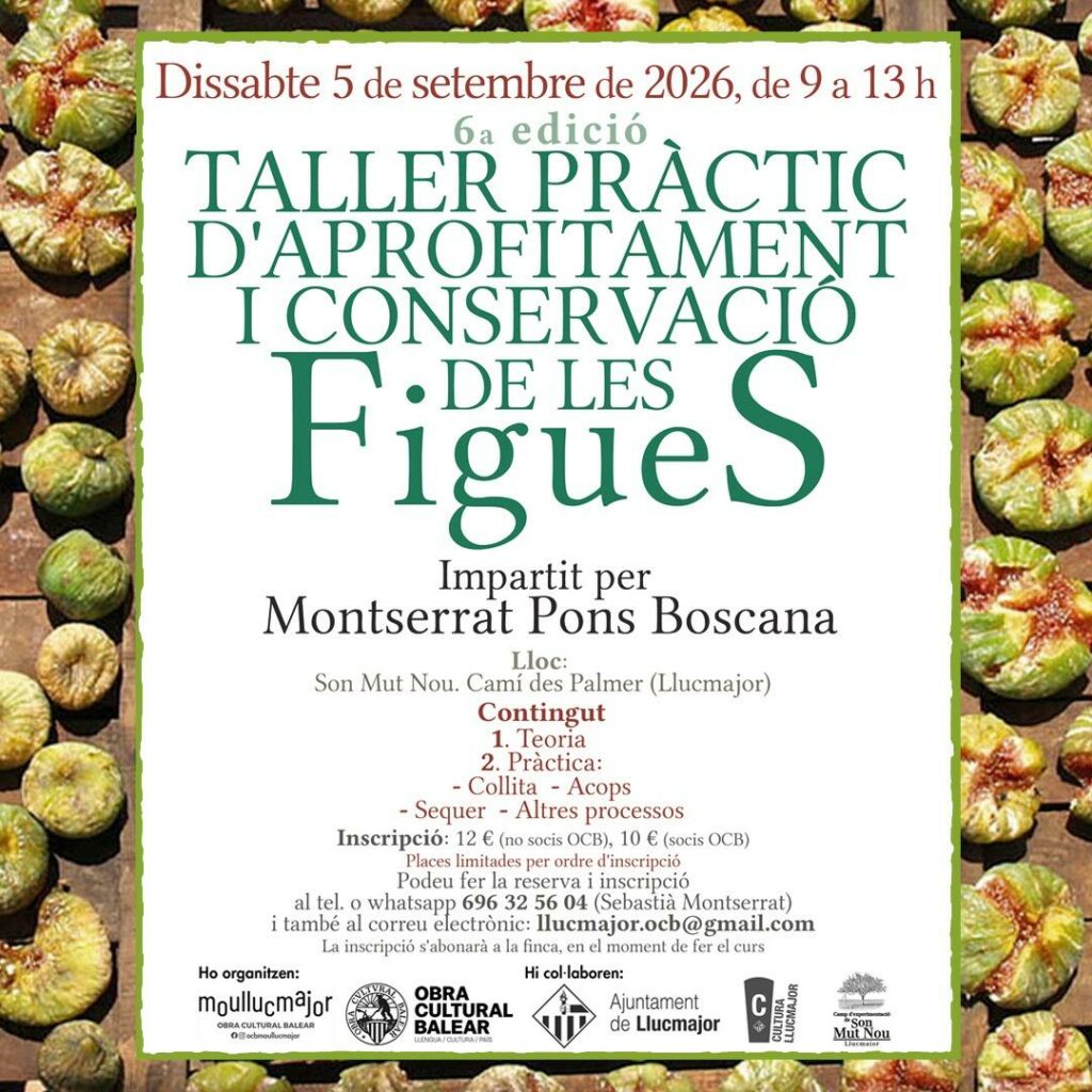 Taller pràctic d’aprofitament i conservació de les figues