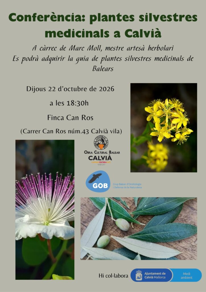 Conferència: plantes silvestres medicinals a Calvià